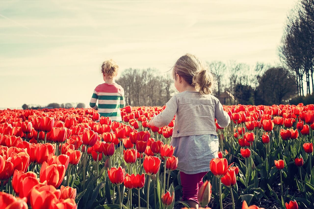 A Road Trip To The Netherlands With Kids For One Weekend
